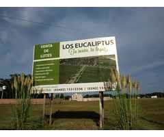 Venta De Lotes, Terrenos Los Eucaliptus Reconquista